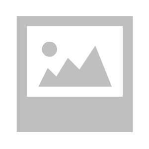 Logo of Maiden Century integration